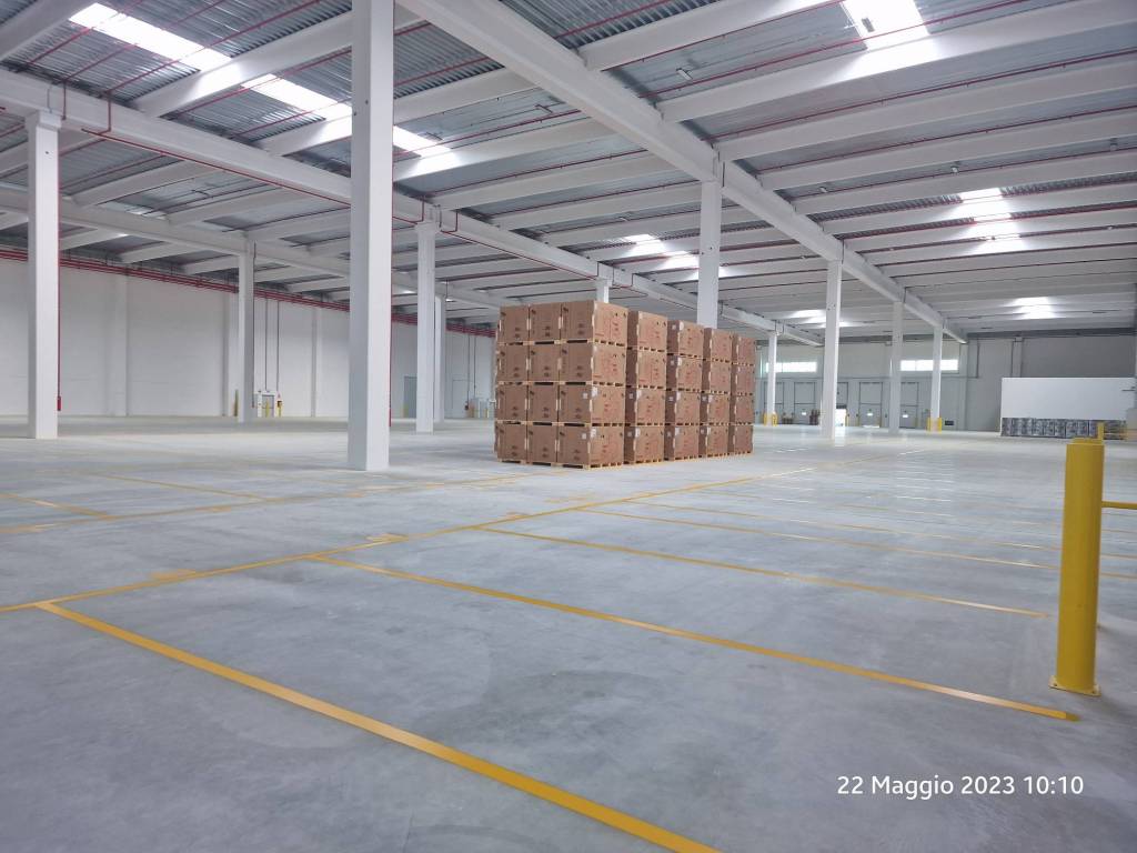 locale commerciale in affitto a Vigasio