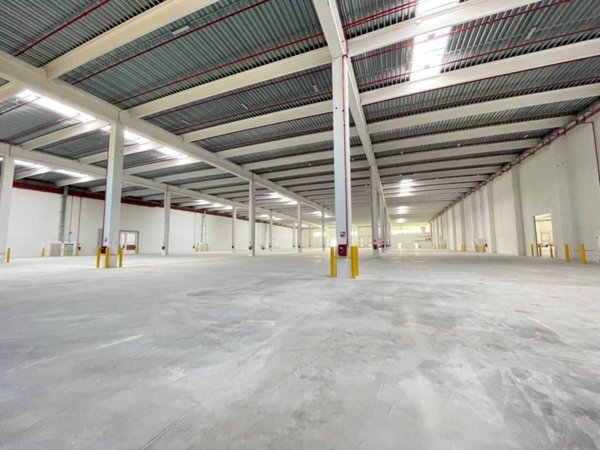 locale commerciale in affitto a Vigasio