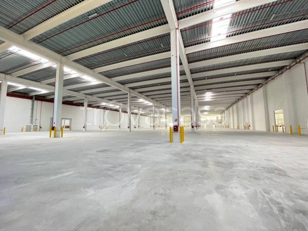 locale commerciale in affitto a Vigasio