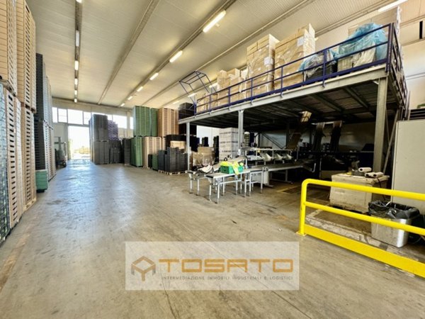 locale commerciale in affitto a Vigasio