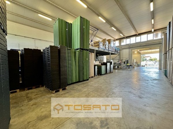 locale commerciale in affitto a Vigasio