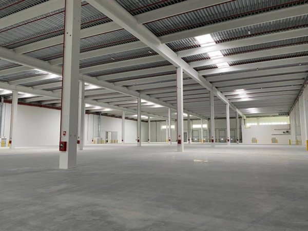 locale commerciale in affitto a Vigasio