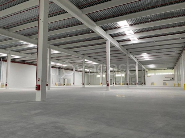 locale commerciale in affitto a Vigasio