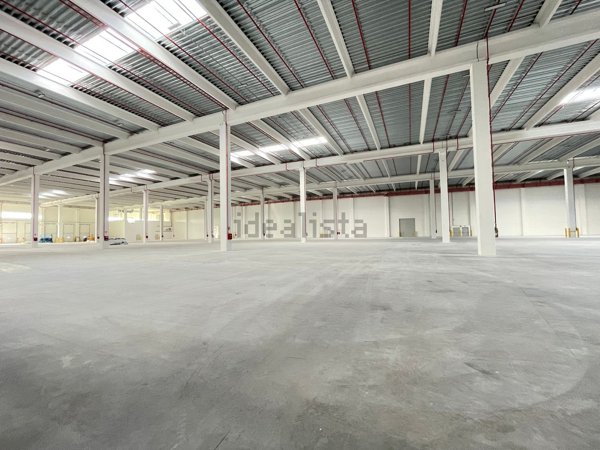 capannone in affitto a Vigasio