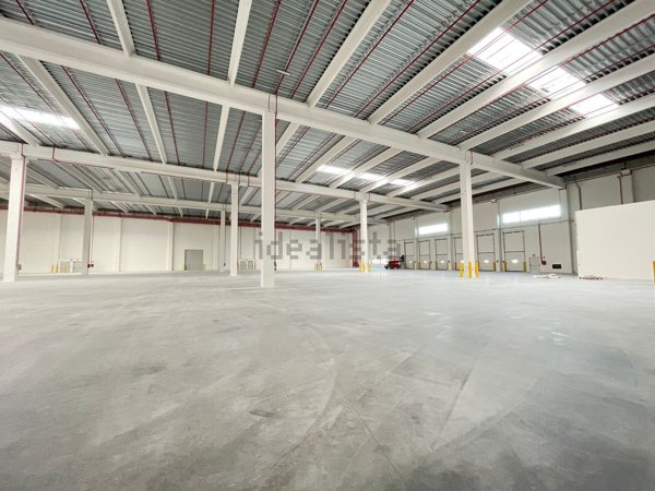 capannone in affitto a Vigasio