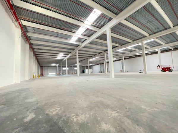 locale commerciale in affitto a Vigasio