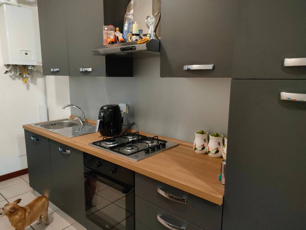 appartamento in affitto a Villa Bartolomea