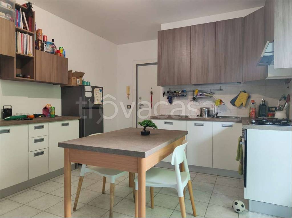 appartamento in affitto a Zevio in zona Campagnola