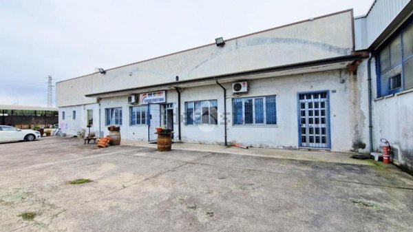 ufficio in affitto a Zevio