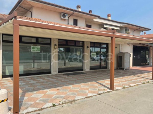 locale commerciale in affitto a Zevio in zona Campagnola
