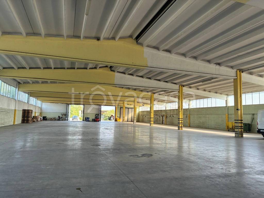locale commerciale in affitto a Zevio in zona Campagnola