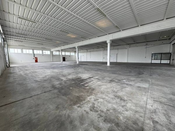 locale commerciale in affitto a Zimella