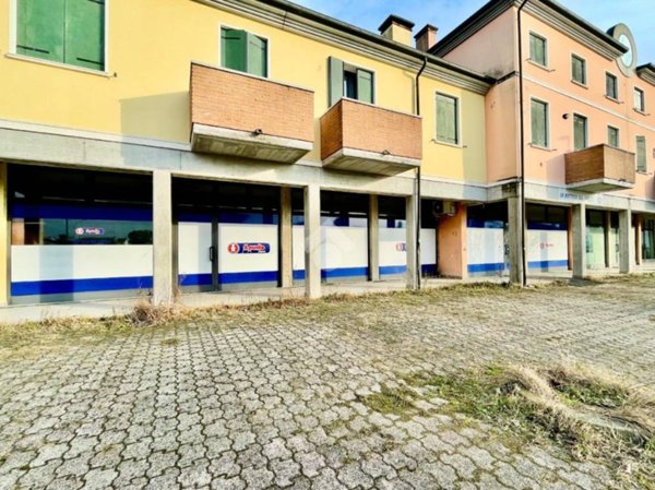 appartamento in affitto ad Albettone