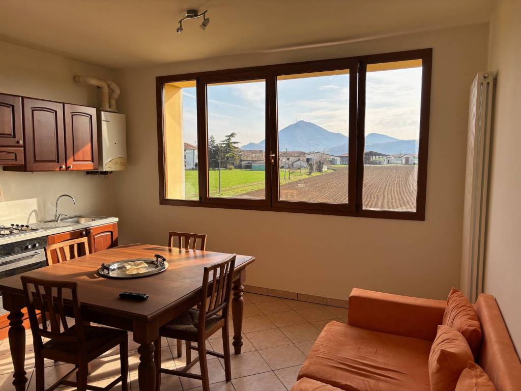 appartamento in affitto ad Albettone