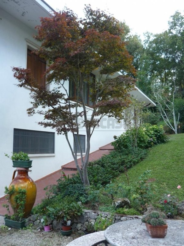 casa indipendente in affitto ad Arcugnano
