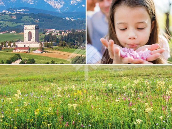 casa indipendente in affitto ad Asiago