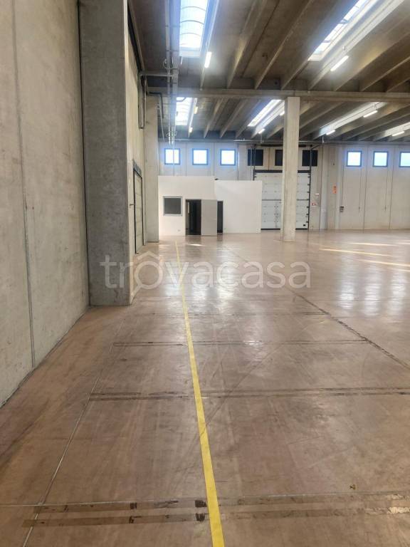capannone in affitto a Bassano del Grappa