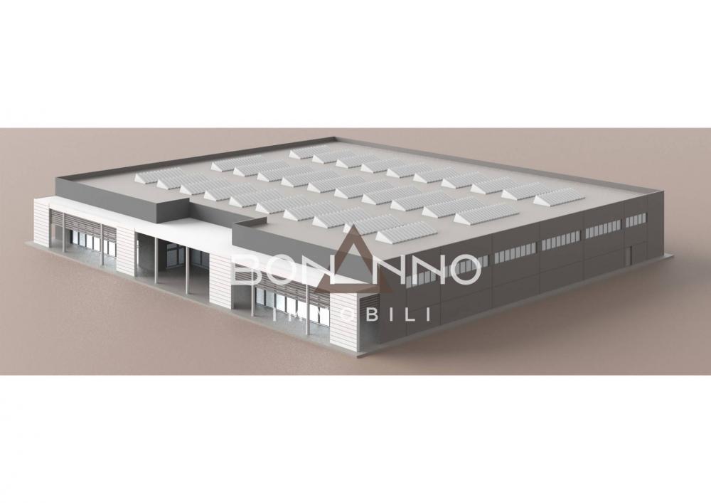 immagine annuncio 0 di 1