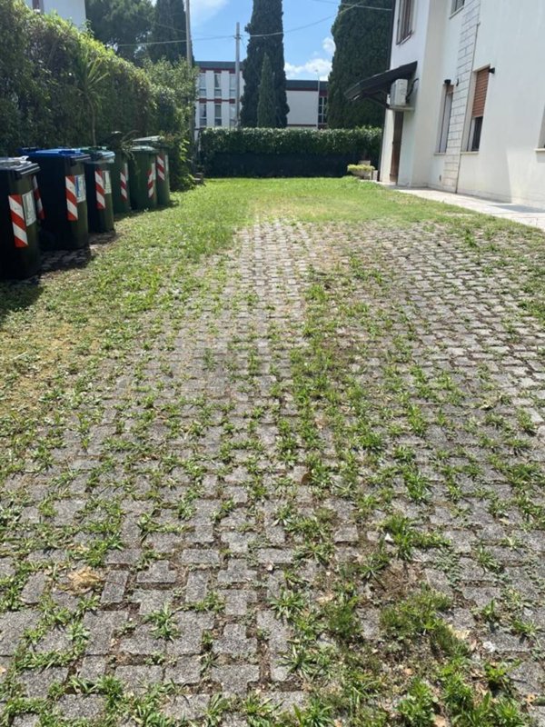 appartamento in affitto a Bassano del Grappa