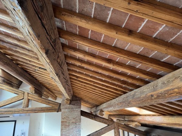 appartamento in affitto a Bassano del Grappa