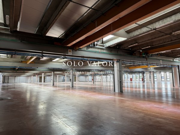 capannone in affitto a Bassano del Grappa