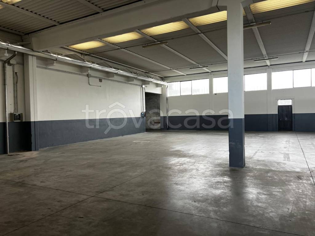 capannone in affitto a Bassano del Grappa