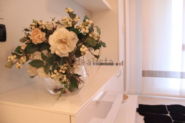 appartamento in affitto a Bassano del Grappa