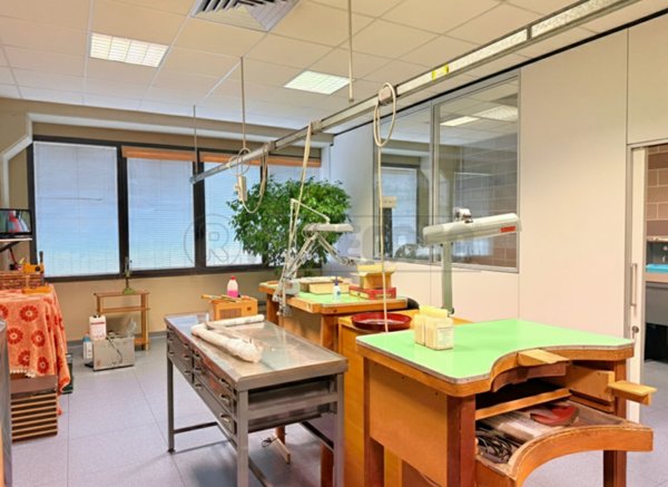 ufficio in affitto a Camisano Vicentino