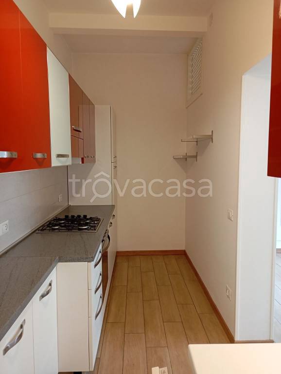 appartamento in affitto a Cassola in zona San Zeno