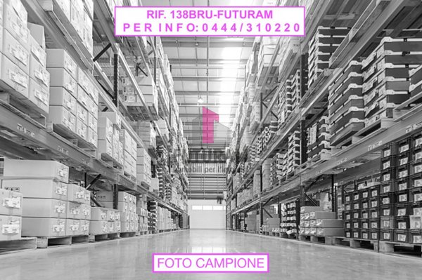 capannone in affitto a Cassola