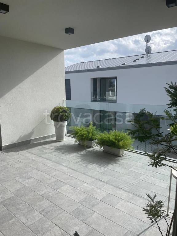 appartamento in affitto a Cassola in zona San Zeno