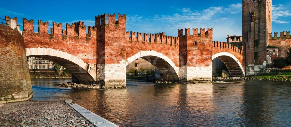 appartamento in affitto a Cassola in zona San Zeno