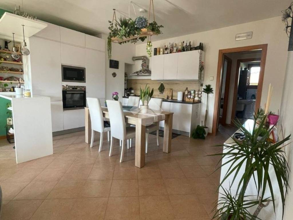 appartamento in affitto a Cassola in zona San Zeno