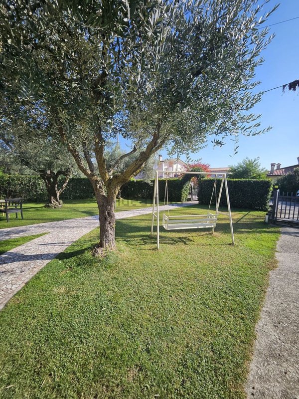casa indipendente in affitto a Cassola in zona San Zeno