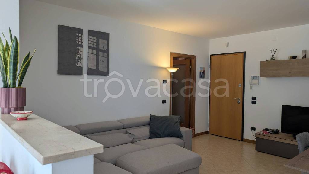 appartamento in affitto a Cassola in zona San Zeno