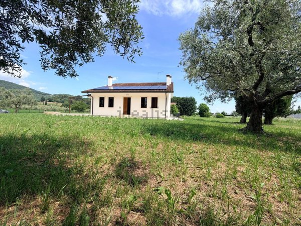 esavano in affitto a Castegnero