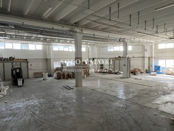 immagine annuncio 0 di 7