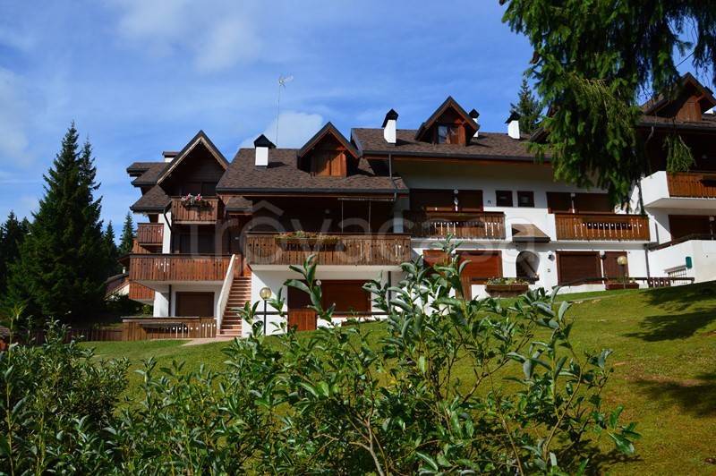 appartamento in affitto a Gallio