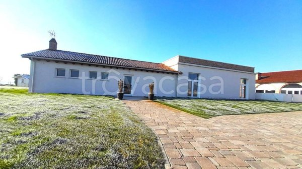 negozio in affitto a Grisignano di Zocco