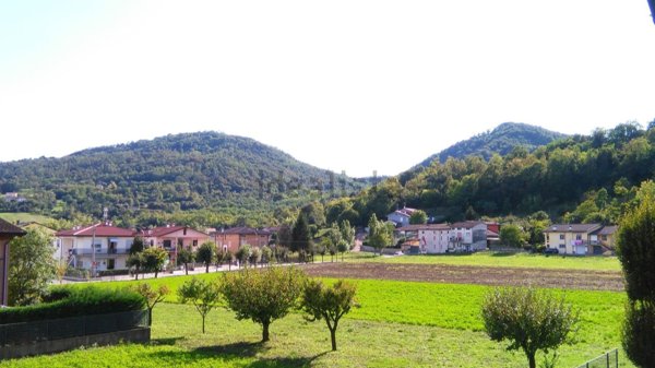 esavano in affitto ad Isola Vicentina