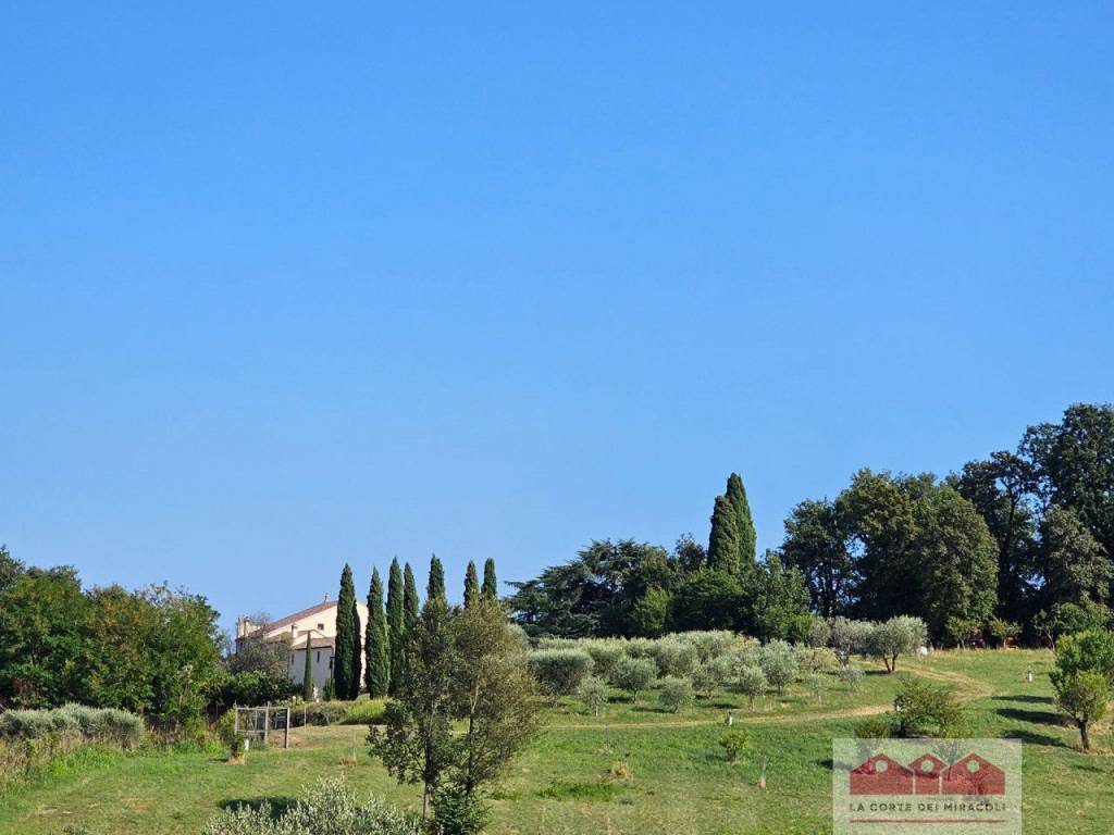 casa indipendente in affitto a Longare in zona Lumignano