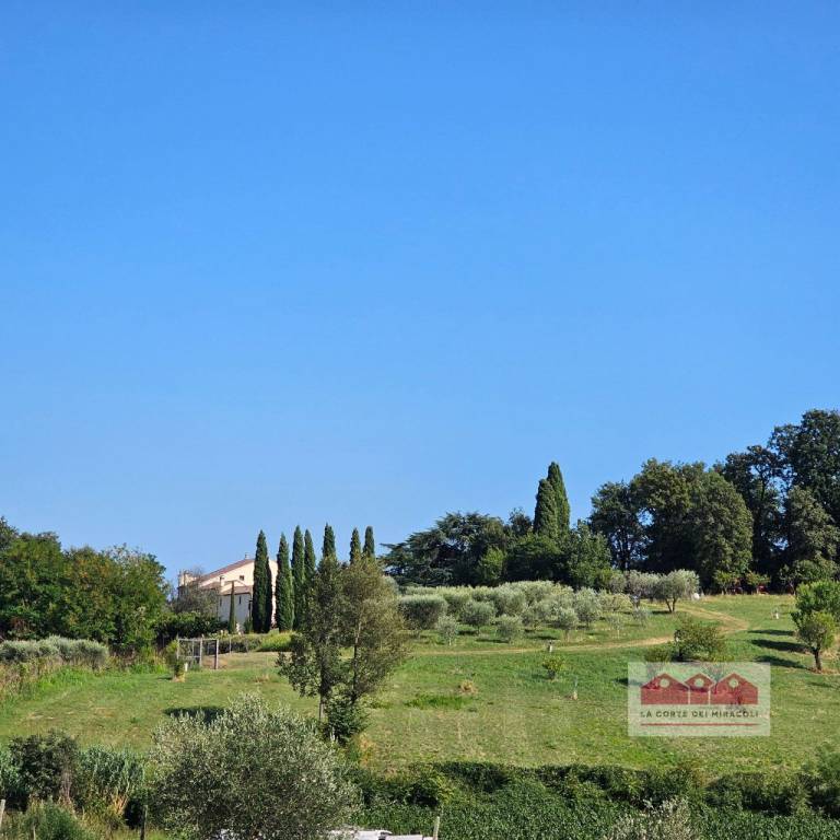 casa indipendente in affitto a Longare in zona Lumignano