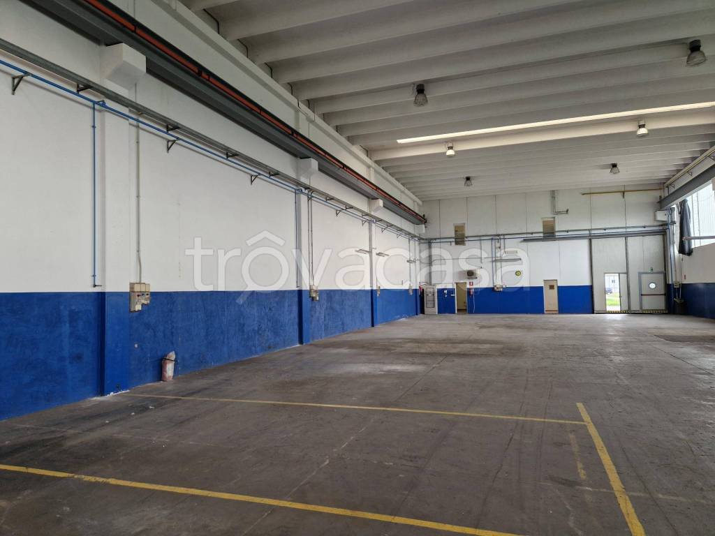 locale commerciale in affitto a Longare