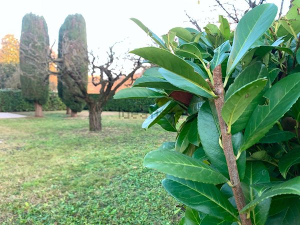 casa indipendente in affitto a Longare in zona Costozza
