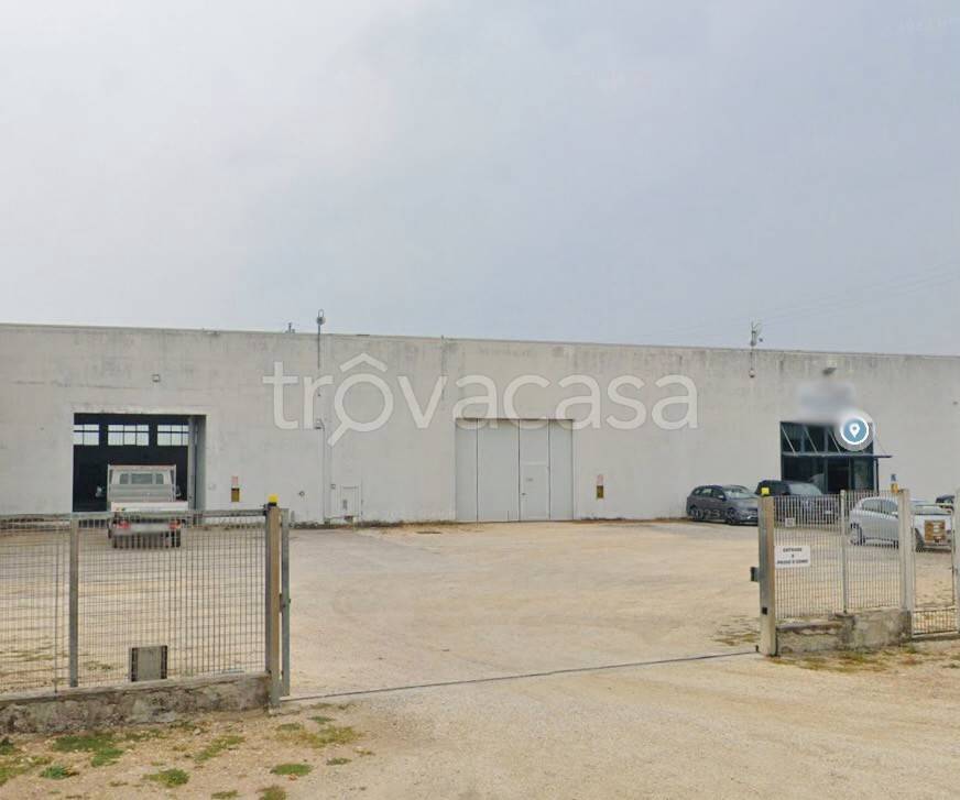 locale commerciale in affitto a Lonigo