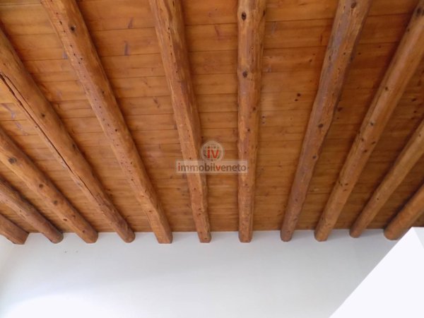negozio in affitto a Lonigo
