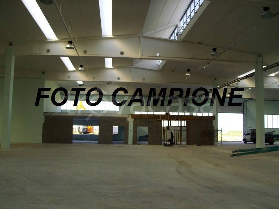 locale commerciale in affitto a Lonigo