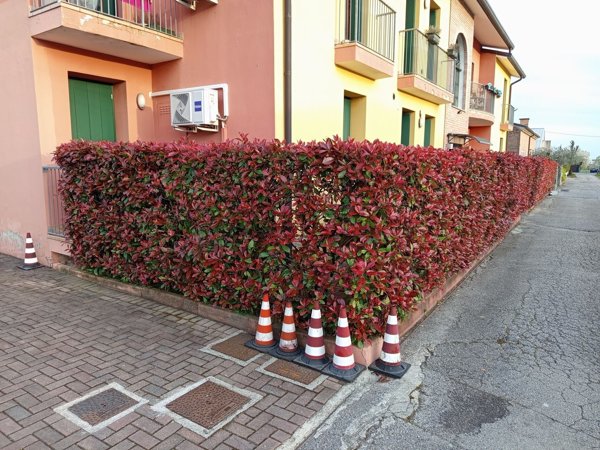 appartamento in affitto a Marostica