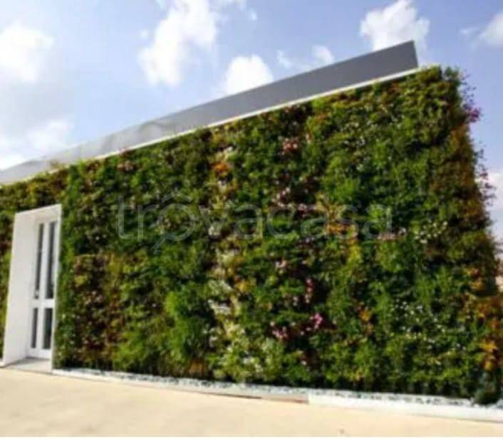 locale commerciale in affitto a Montecchio Maggiore