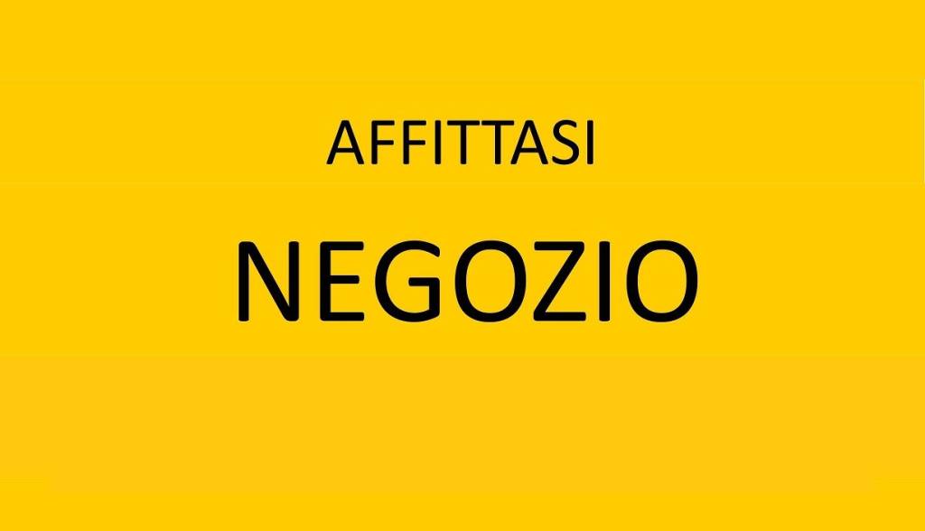 trivano in affitto a Nove